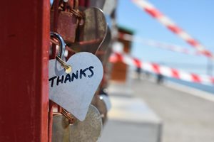 pexels-marcus-wckel-883466-9900000000079e3c-thanks.jpg pexels-marcus-wckel-883466-9900000000079e3c-thanks.jpg